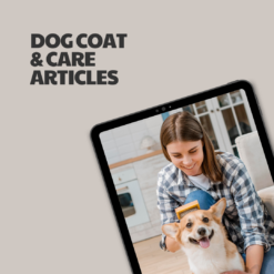 Dog Coat & Care – 5 Pre-Written Articles