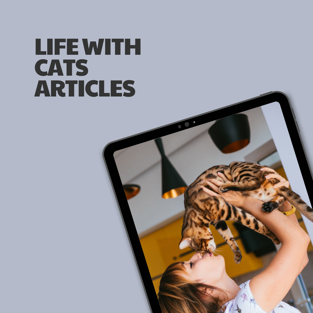 Life with Cats – 18 Pre-Written Articles